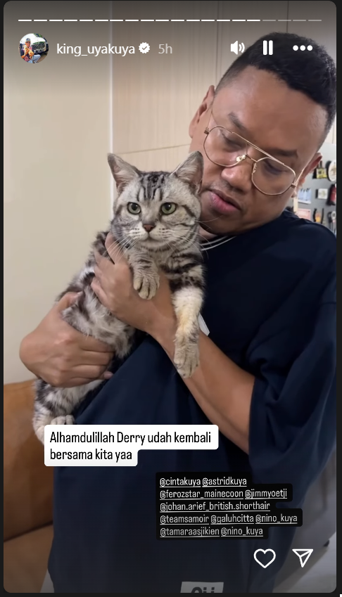 Kucing Uya Kuya kembali (Instagram)